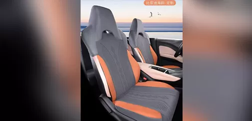 Special seat cushion