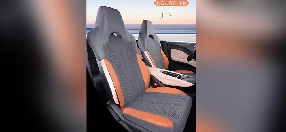 Special seat cushion