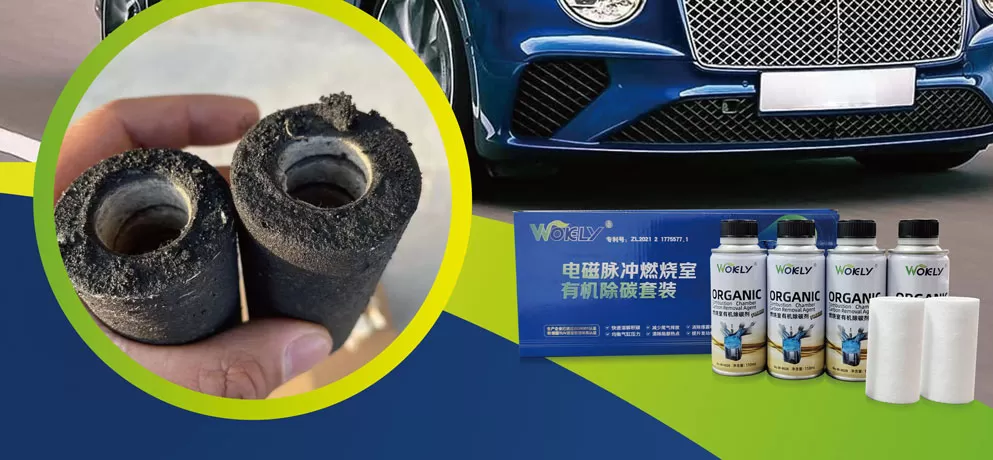 Filter type pulse carbon removal equipment