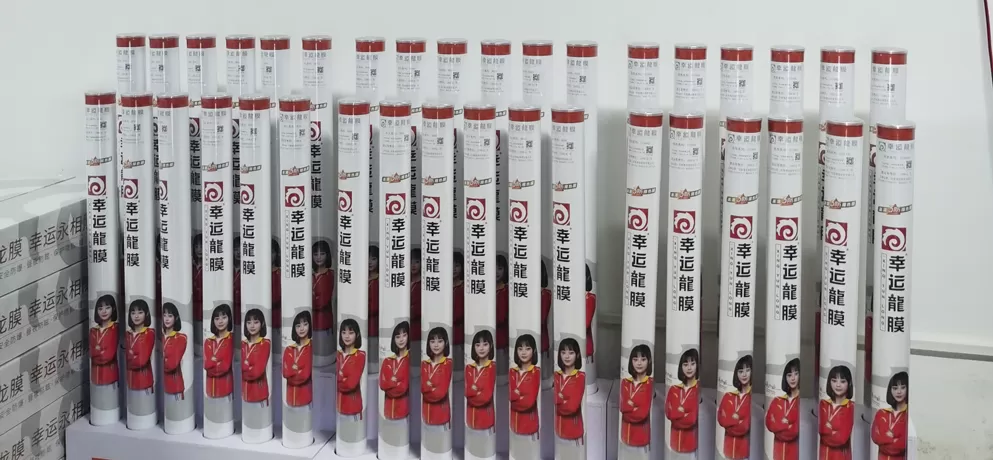 Lucky Dragon Automotive Film