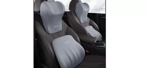 Neck and Lumbar Support Set