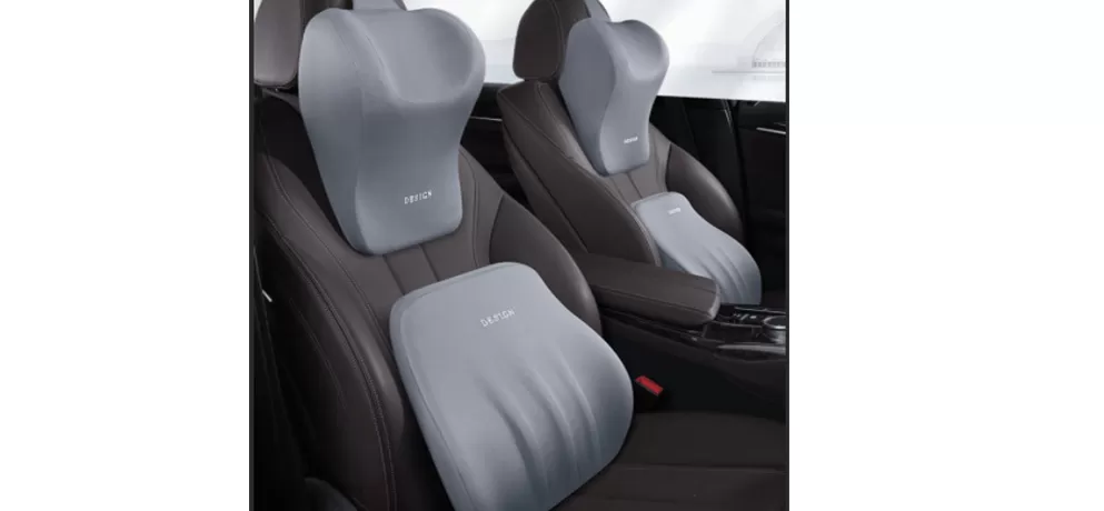 Neck and Lumbar Support Set