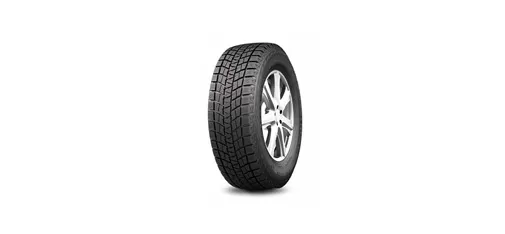 DW501 &ndash; Winter Tire for Ice and Snow Performance