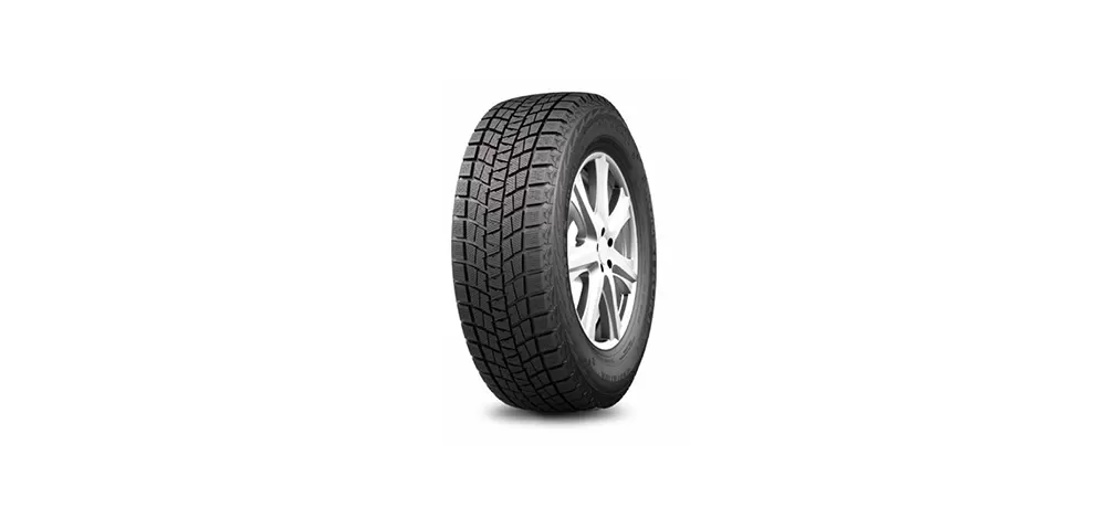 DW501 – Winter Tire for Ice and Snow Performance